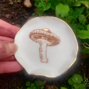 A close-up of the Enchanted Forest Porcelain Mushroom Ring Holder, showcasing its detailed mushroom illustration and gold lustre, held by a hand against a backdrop of green leaves. A close-up of the Enchanted Forest Porcelain Mushroom Ring Holder, showcasing its detailed mushroom illustration and gold lustre, held by a hand against a backdrop of green leaves.